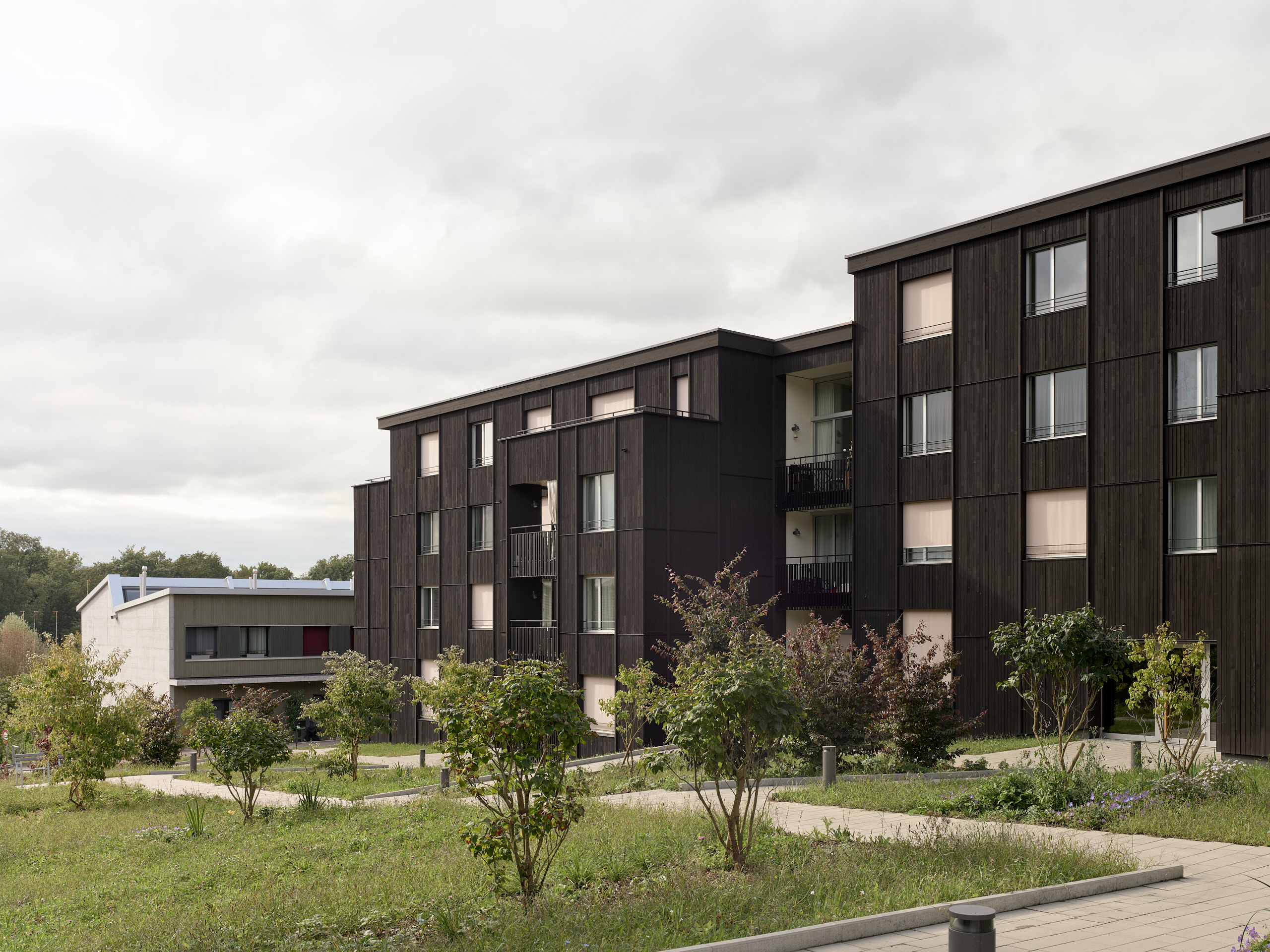 Wohnsiedlung Baumschulareal Kuettigen